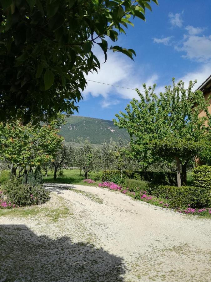 Casa Fiorelli Apartment Passaggio di Assisi Exterior photo