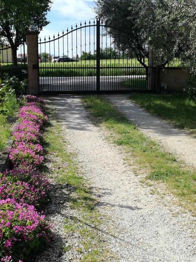 Casa Fiorelli Apartment Passaggio di Assisi Exterior photo